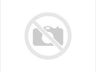 Overview of the Branchton Forest