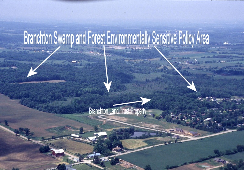 Branchton Land Trust Branchton Forest