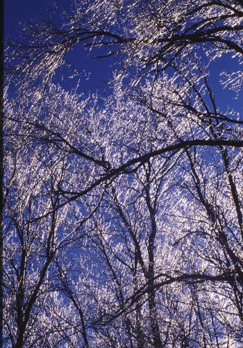 Winter in Branchton
