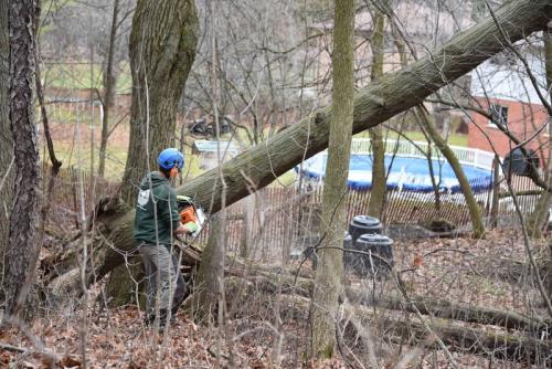 ForestryDec1553-